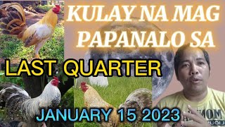 KULAY NG MANOK NA MAG PAPANALO SA LAST QUARTER JANUARY 15 [upl. by Ahsyt415]