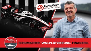 Guenther Steiner CARRYING Drive To Survive for 4 minutes 40 seconds straight [upl. by Preuss]