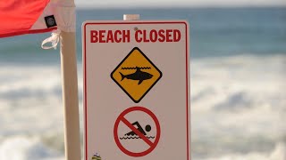 Sydney beaches closed after fatal shark attack [upl. by Bard]