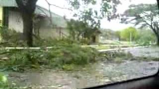 Cyclone Larry  Destruction in Cairns Australia [upl. by Aketahs]