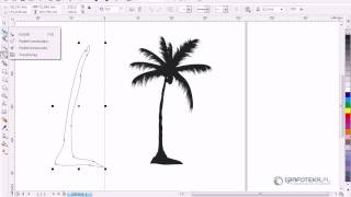 Corel DRAW X4 Tutorial Wektorowa palma [upl. by Zales]