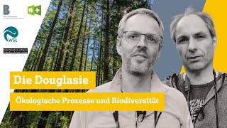 Die Douglasie – Ökologische Prozesse und Biodiversität [upl. by Lama]