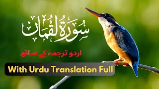 Surah Luqman  سورة لقمان Yasser Al Dosari  Surah Luqman Quran Recitation 786 [upl. by Anahsek]