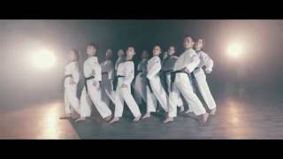 VLions Vietnam Taekwondo Dance Team [upl. by Otrevire]