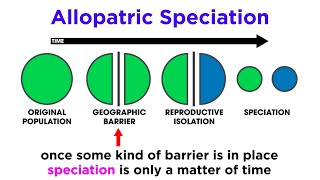 Types of Speciation Allopatric Sympatric Peripatric and Parapatric [upl. by Bultman]