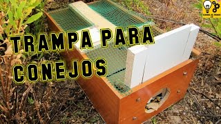 Trampa para conejos   Rabbit trap [upl. by Peter]