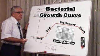 Bacterial Growth Curve  منحنى نمو البكتيريا [upl. by Hershell773]