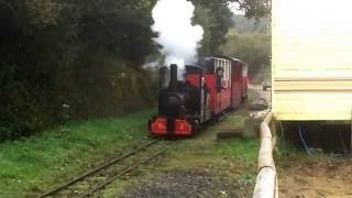 Lappa Valley Railway No2 quotMuffinquot approaching Benny Halt 26102016 [upl. by Fifi240]