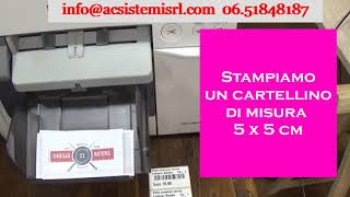 Come stampare cartellini in differenti dimensioni [upl. by Ellehs788]