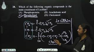 Select the correct statementsampndash aampnbsp ampnbspNitrogenous compound in both lecithin and ce [upl. by Yeznil]