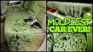 Deep Cleaning the MOLDIEST BIOHAZARD Lexus EVER  Satisfying DISASTER Car Detailing Transformation [upl. by Ferneau701]