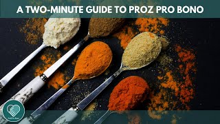 ProZ Pro Bono a 2minute guide [upl. by Akemrehs502]