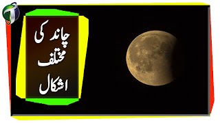 Moon Lunar Phases Urdu Hindi [upl. by Anialeh743]