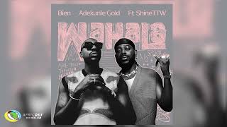 Bien Adekunle Gold and ShineTTW  Wahala Official Audio [upl. by Leviram]