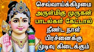 TUESDAY POWERFUL MURUGAN BHAKTI PADALGAL  God Muruga Songs  Best Murugan Tamil Devotional Songs [upl. by Eednim]