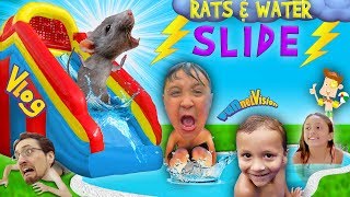 RATS amp Thunderstorm INFLATABLE SLIDE Fun FUNnel Vision Summer Vlog [upl. by Recneps]