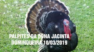 PALPITES DA DONA JACINTA 10032019 💰RIOLOOK BAN SP LOTEP LOTECE MINAS BAHIA CEARA NACIONAL [upl. by Winchester999]