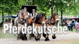 🏇 Pferdekutsche  Pferdekutschen und Pferdegespanne auf der Kutschenwallfahrt Telgte 2018 [upl. by Steffie]