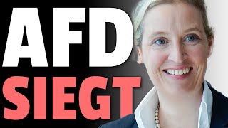 💥AfD SIEGT vor GERICHT gegen GRÜNE💥 [upl. by Nahtaj412]