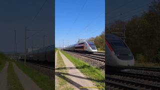 TGV Lyria bei Buchs im Kanton Aargau [upl. by Lybis]