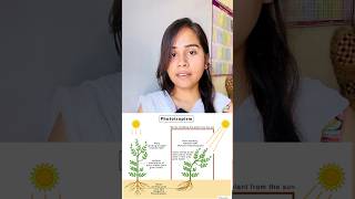 Phototropism  hydrotropism  geotropism  thigmotropism  chemotropism shorts growth youtube [upl. by Prinz]