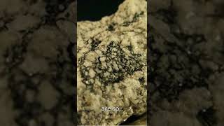 how these microbe live inside rocks facts nature microorganisms science [upl. by Beyer]