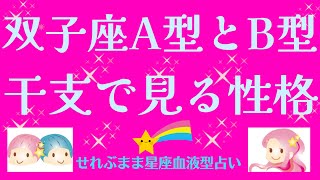 星座×血液型と干支で見る性格 双子座A型、B型編 星座占いと血液型占いでわかる 性格とあの人との相性 せれぶまま星座血液型占い [upl. by Merill]