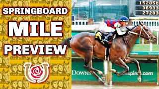 Remington Park Preview amp FREE Picks  Springboard Mile Stakes 2023 [upl. by Fendig474]