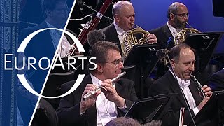 Johann Strauss  An der schönen blauen Donau Waltz Vienna Philharmonic Orchestra Zubin Mehta [upl. by Aksel29]