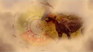 Best Documentaries  The Evolution of Mammals Part 1  Meet the Synapsids [upl. by Ecenahs212]