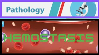 41 HEMOSTASIS [upl. by Nnyleimaj]