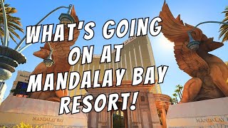 Mandalay Bay Las Vegas Hotel amp Casino Epic Walking Tour Four Seasons Delano amp More [upl. by Arekahs]