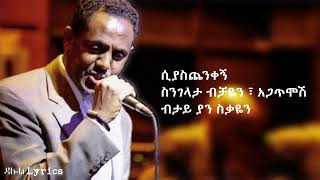 Dawit Melese Alchalkum Lyrics [upl. by Imuy]