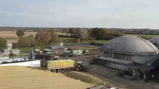 Maisfahren mit Lohnunternehmen Blunk für eine Biogasanlage in SchleswigHolstein [upl. by Acinomad]