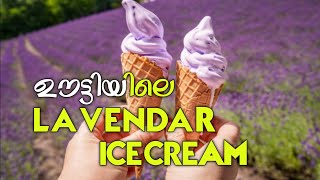 OOTTYS LAVENDAR ICE CREAM❗Foodie Sha [upl. by Kubetz]