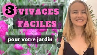 3 VIVACES FACILES pour votre jardin [upl. by Elagibba693]