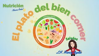 El plato del bien comer nutrición y alimentación saludable para niños aprende juega y diviértete [upl. by Danica]