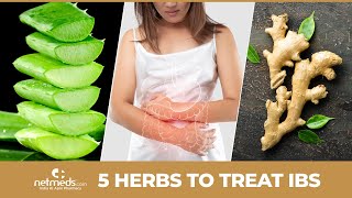 Top 5 Herbs To Treat Irritable Bowel Syndrome IBS Shorts [upl. by Laws]