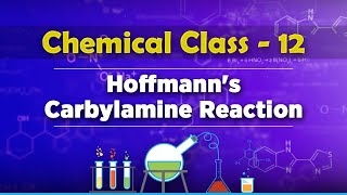 Hoffmanns Carbylamine Reaction  Compounds Containing Nitrogen  Chemistry Class 12 [upl. by Niarb494]