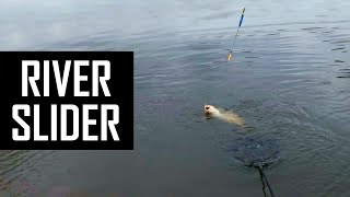 How to catch river Bream Chub Barbel on Slider float [upl. by Lyckman]