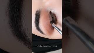 Easy Smokey Eye Makeup Tutorial for Beginners in Urdu Hindi makeuptutorial shorts [upl. by Pardoes]