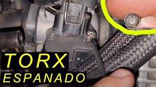 PARAFUSO TORX ESPANADO COMO RETIRAR  Parafuso do sensor híbrido Yamaha Lander Fazer 250 e Ténéré [upl. by Marylee149]