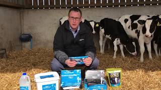 Nettex Calf Colostrum Range with Gwyn James [upl. by Etennaej434]