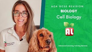 AQA GCSE Biology  Cells Revision [upl. by Suzzy]