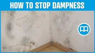 Damp proof paint bathrooms damp basement cures and prevents dampness [upl. by Kcirted185]