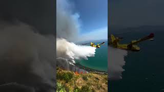 Helicopters and planes help put out wildfire in Italy 🧑‍🚒🇮🇹  🎥 lalibrata [upl. by Aicilec]