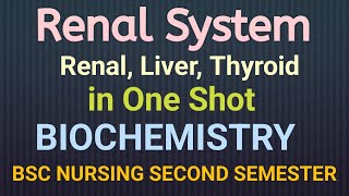 Renal System in Biochemistry ONE SHOT [upl. by Vasiliu]