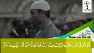 The Strangers  Ustadz Abu Usamah Lc  Surat Ali Imran ayat 19 [upl. by Cyma45]