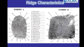 ADRC Asian Dermatoglyphics Research Centre [upl. by Hickie235]