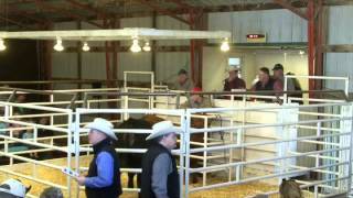 Post Rock Cattle Co Sale Lot 80 March 2014 [upl. by Silloc]